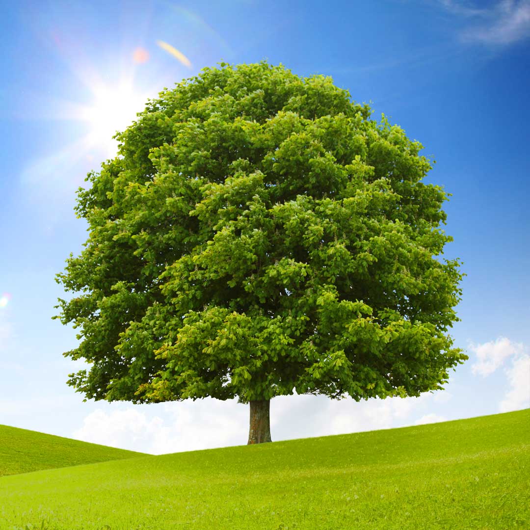 Nachschau: D-A-CH Kongress der WKSB-Isolierbranche 2025 